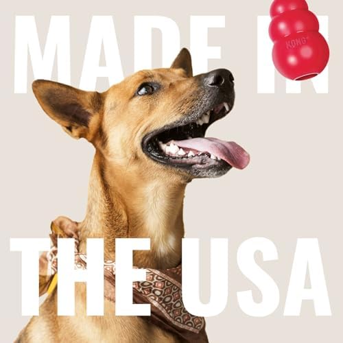 KONG Aqua Floating Fetch Toy, Natural Rubber, Orange, for Large Dogs | Floating KONG Natural Rubber Water Toy with Foam Interior & Rope for Farther Throwing & Easy Retrieval Play