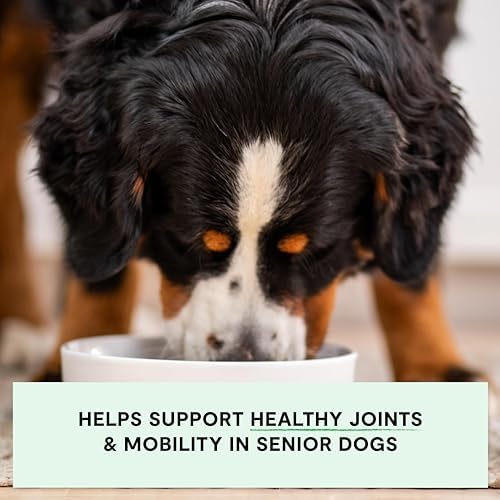 Open Farm, Senior Dog Support Bundle, Includes Grain-Free Dog Food for Seniors with Turkey & Chicken, and Hip & Joint Supplement Chews
