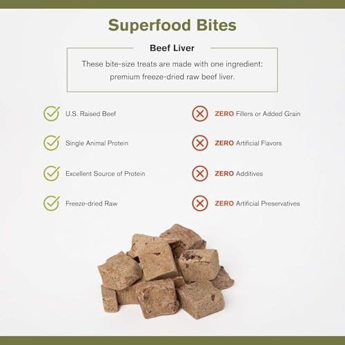 BADLANDS RANCH by Katherine Heigl – Superfood Bite Freeze-Dried Raw Beef Liver Dog Treats – High Protein Single-Ingredient Snacks for Training, Rewards & Daily Wellness – 4 oz (Pack of 8)