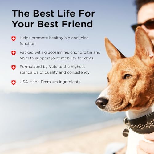 Nutri-Vet Hip & Joint Supplement for Dogs, Glucosamine Chondroitin, 150 Ct