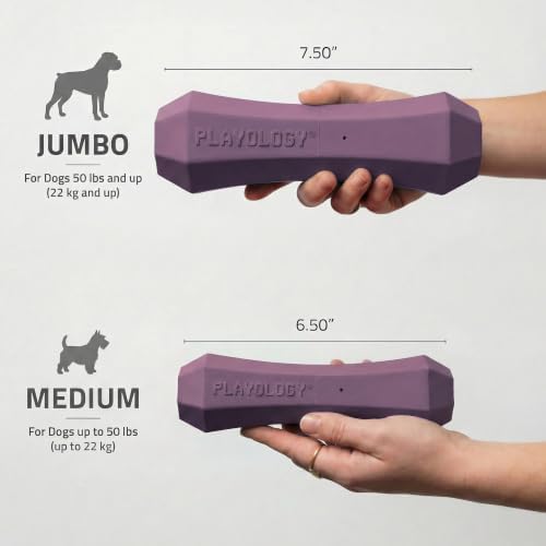 Playology Squeaky Chew Stick - Scented Dog Toy - Jumbo, Bacon Scent | Rubber Construction, All Natural Scent, Durable Design