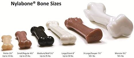 Nylabone 3 Pack of DuraChew Bone Dog Toy, XL/Giant, Chicken Flavor, Made in The USA