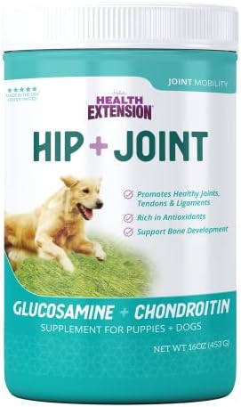 Health Extension Chondroitin with Glucosamine for Dogs, 16oz - Arthritis Pain Relief, Joint & Hip Supplement, Cheese Flavored Powder