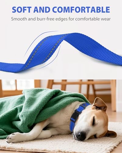 Joytale Feather-Light Dog Collar for Medium & Large Dogs, 1", Navy Blue