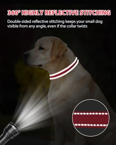 Joytale Feather-Light Dog Collar for Medium & Large Dogs, 1", Red