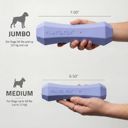 Playology Squeaky Chew Stick - Scented Dog Toy - Jumbo, Blueberry Scent | Rubber Construction, All Natural Scent, Durable Design