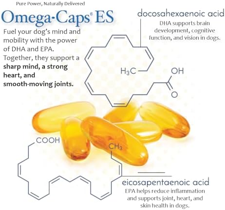 Extra Strength for Large and Giant Dogs Value Size Omega-3 and Omega-6 Fatty Acid Antioxidant Supplement Vet Formulated Made in USA Skin Coat Joint Heart and Immune Health 250 Softgel Capsules