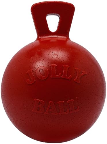 Jolly Pets Dog 6-Inch Tug-n-Toss, Red (406 RD),6 Inches/Medium