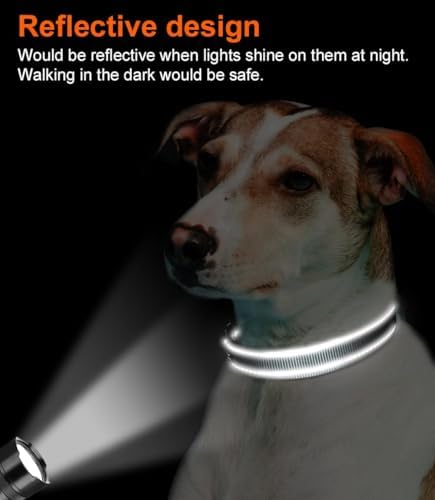 Joytale Reflective Dog Collar, Adjustable Neoprene Padded, Gray S