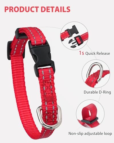 Joytale Feather-Light Puppy Collar for Extra Small Dogs, 3/8", Red