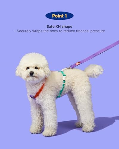PETHROOM × Wiggle Wiggle Smile We Love Dog Backpack Harness with Leash – Cute Flower-Shaped Mini Backpack, No-Pull Adjustable Harness for Small Medium Dogs, Ideal for Travel, Camping & Hiking (Large)