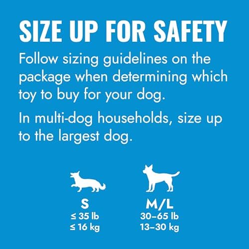 KONG Puppy Ball with Hole, Teething Toy, for Medium/Large Puppies, Pink | Soft & Durable Activity Ball That Supports Healthy Exercise, Interactive Play & Natural Teething for Puppies