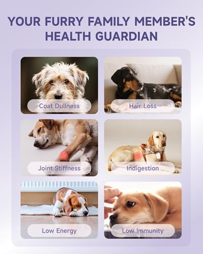 Collagen for Dog Liquid - Support Hip Joint Mobility, Skin Coat, Bone 60ML