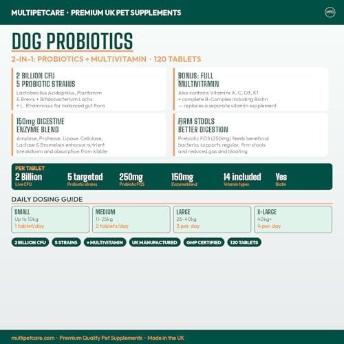 Probiotics for Dogs – 5-Strain 2 Billion CFU + Digestive Enzymes & Prebiotics | Gut Health, Firm Stools, Less Gas & Bloating | Full B-Complex Vitamins in One Tablet | Chicken Flavor | UK GMP | 120 Ct