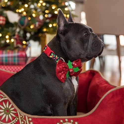 Blueberry Pet Christmas Holly Dog Collar with Bowtie, Small Adjustable 12"-16" Neck, Holiday Collar for Small Dogs
