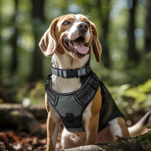 Joytale Reflective Dog Collar, Adjustable Neoprene Padded, Gray L