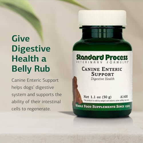Standard Process Canine Enteric Support, 30 g