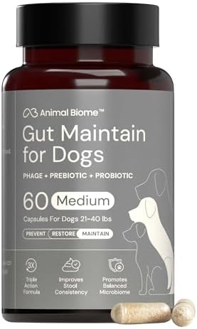 Animal Biome Medium Dog Pre & Probiotics, S Boulardii, Gut Maintain, 60 Ct
