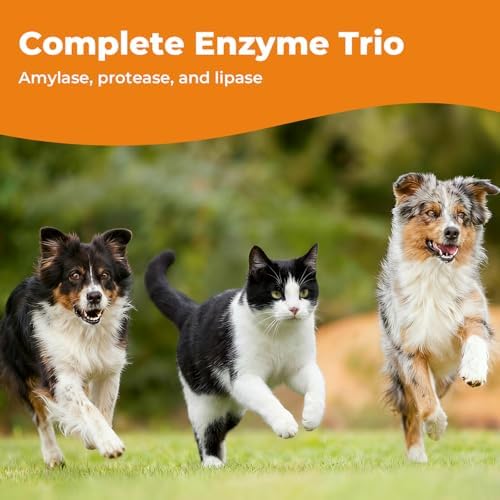 Pancreatic Enzymes for Dogs Drops, Pancreatin Digestive Enzyme for EPI