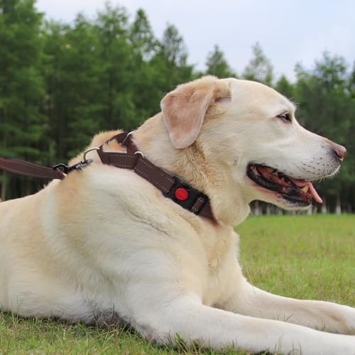 Joytale Martingale Collar for Dogs, Escape Proof No Pull, Brown, L