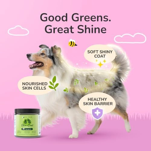 kin+kind Skin and Coat Supplement for Dogs & Cats – Natural Vitamin Supplements with Organic Ingredients for Shiny Fur, Moisturized Skin & Overall Pet Wellness – Dog Essentials & Cat Essentials – 4oz