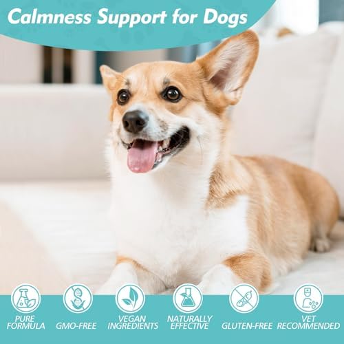 Ashwagandha Drops for Dogs