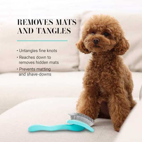 Chris Christensen Big G Dog Slicker Brush for Dogs (Goldendoodles, Large, Teal