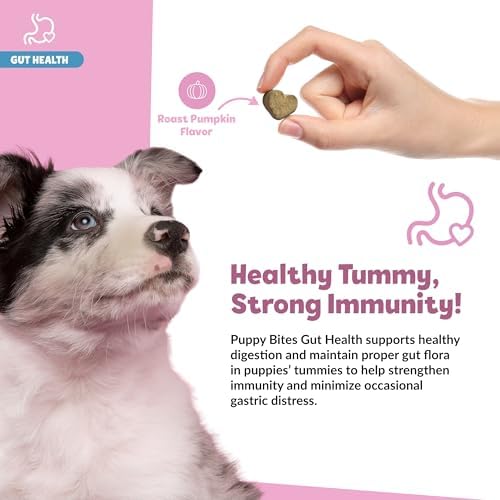 Snuggle Puppy Puppy Bites Gut Health, Dog Probiotics, 60 Soft Chews