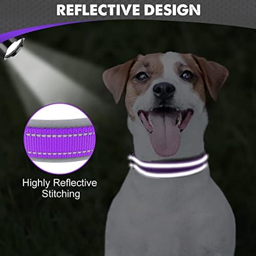 Joytale Reflective Dog Collar for Small Dogs with Wide Padding, Purple