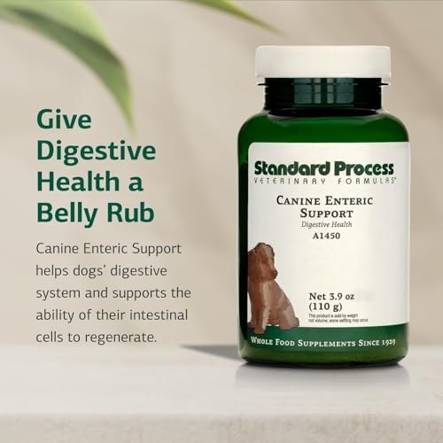 Standard Process Canine Enteric Support, 110 g