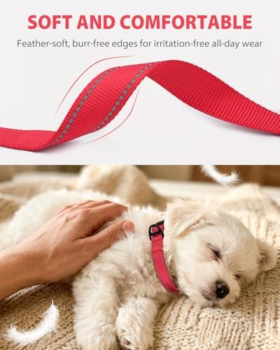 Joytale Feather-Light Dog Collar for Small Dogs & Puppies, 5/8", Red