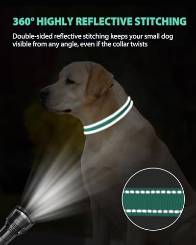 Joytale Feather-Light Dog Collar for Extra Large Dogs, 1 1/4", Turquoise