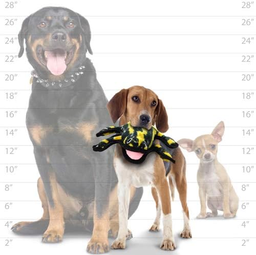 TUFFY® : Phrog Dog Toy: Ultra Durable Plush Toy with Multiple Layers & Reinforced Seams, Washable and Floats, Original Construction