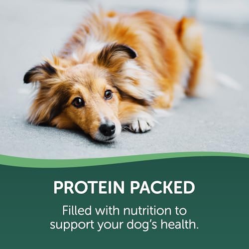HEALTHFULS Real Duck Jerky Fillets, Grain-Free, Healthy Dog Treats, 16 oz