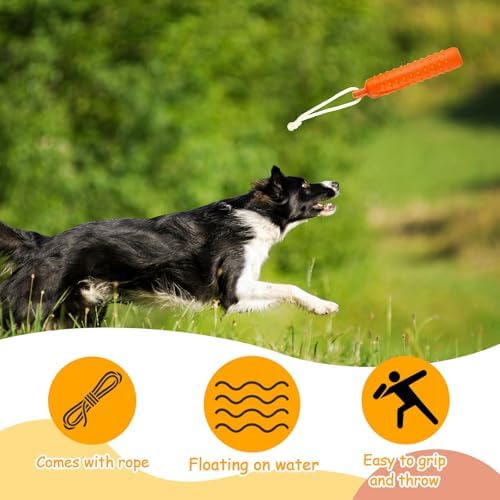 Blueweenly Orange Dog Bumper Toy Training Dummy, 6 Pcs | Plastic Lightweight Floats on Water, Textured with Rope for Fetch, Pool Outdoor Retrieving, Summer Water Play