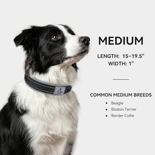 Joytale Reflective Dog Collar for Medium Dogs with Wide Padding, Black
