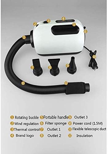 Dog Hair Dryer 2200W Variable Speed Cat Pet Grooming Hair Dryer Hairdryer Motorbike Motor Heater Blaster Fur Blower with 2 Gear Temperature Flexible Hose and 3 Nozzles,Green