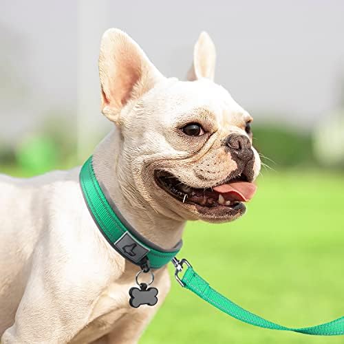 Joytale Reflective Dog Collar for Small Dogs with Wide Padding, Teal