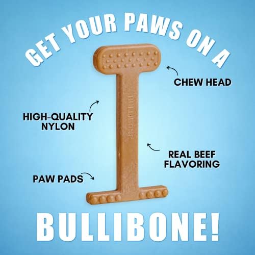 Bullibone Nylon Dog Chew Toy for Aggressive Chewers - Dental Hygiene Bone with Beef Flavor, Durable Tough Chew Toys for Large Dogs, Indestructible Dog Bone - 3 Pack