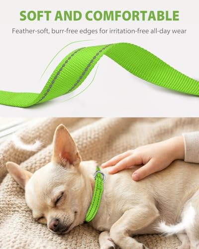 Joytale Feather-Light Puppy Collar for Extra Small Dogs, 3/8", Green