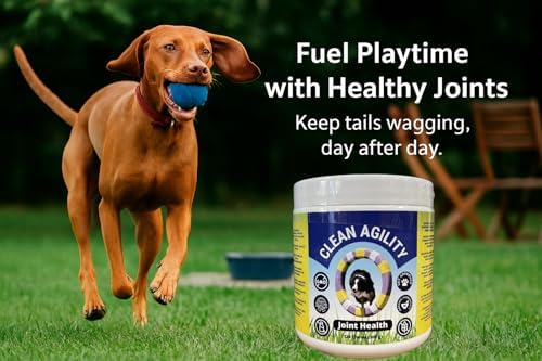 Joint Health for Dogs - Most Effective Hip and Joint Supplement Available - Formulated with Veterinarians, Glucosamine, Chondrointin, MSM, Turmeric (Soft Chew)