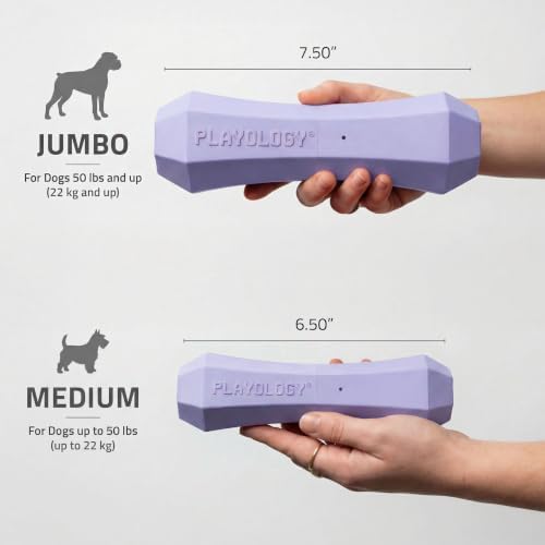 Playology Squeaky Chew Stick - Scented Dog Toy - Medium, Lamb Scent | Rubber Construction, All Natural Scent, Durable Design
