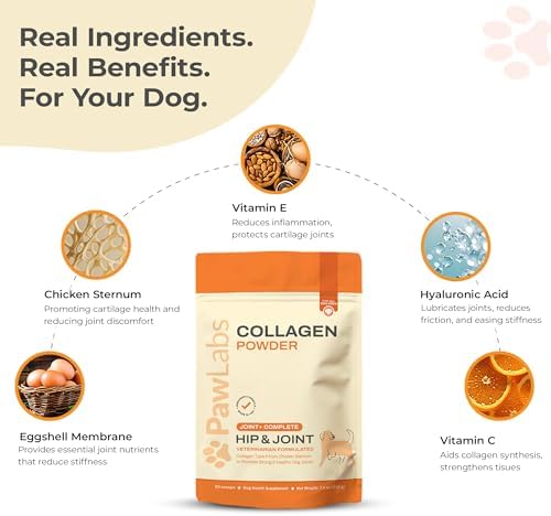 PawLabs Collagen Powder for Dogs - Collagen Type II from Chicken Sternum, Eggshell Membrane, Hyaluronic Acid, Vitamin E & C - Joint Health & Cartilage Support