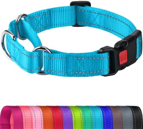 Joytale Martingale Collar for Dogs, Escape Proof No Pull, Sky Blue, L