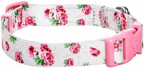 Cherry Garden Dog Collar with Dainty Flowers