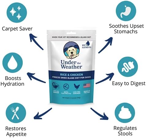 Under the Weather Bland Diet for Dogs | Easy to Digest for Sick Dogs | Always Be Ready | Contains Electrolytes - All Natural Freeze Dried 100% Human Grade Meats | 6 Pack - Multiflavor - 6oz