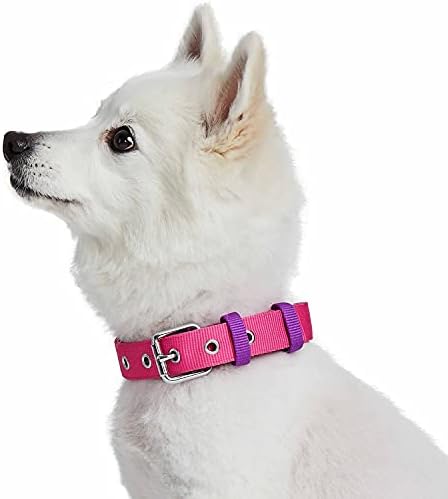 Blueberry Pet Iconic Color-Block Adjustable Dog Collar with Metal Buckle, Cerise and Dark Purple, Neck 13-16.5", for Medium Breed