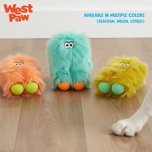 WEST PAW Rowdies Astrid Durable Plush Dog Toy with Reinforced Seams and Chew Resistant Design for Tough Play Safe Indoor or Outdoor Fun for Dogs Who Deserve the Best - Melon