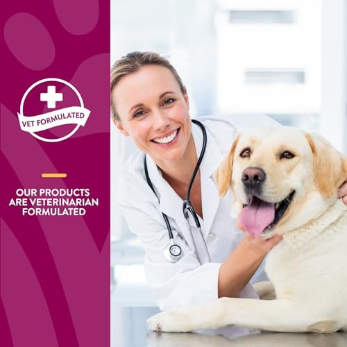 NaturVet Moderate Joint Care with Chondroitin & MSM, Dogs & Cats, 240ct