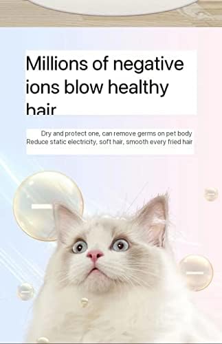 Pet Drying Box Cat Household Commercial Small Hair Dryer Dog Hair Dryer Special Water Blower